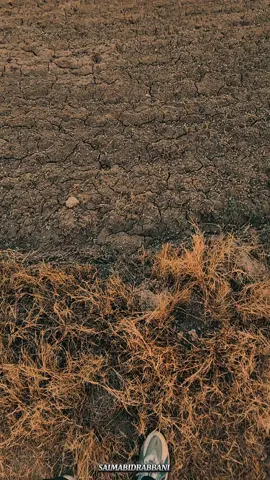 #foruyou #قران_كريم #alhumdulillah #parents #اسلام 