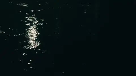 больше фонов в тгк: мистик life #тильт #mistweak #фон #спокойствие #бойцовскийклуб #вайб #грустноевидео #природа #грусть 