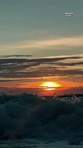 اللهم ارزقنا راحة تُطمئن القلوب، وتيسيرًا يفتح لنا الأبواب، وخيرًا ننتظره ولا يأتي إلا من عندك. #اللهم_امين #ذكر_الله #دعاء #ادعية #اسلاميات 