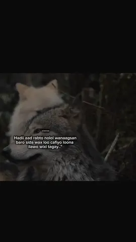 #fyb #viraltiktok #writer 