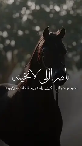 شيلة عريس باسم ناصر حماسية _ ناصر اللى لا زهمته تحزم واستجاب _ أداء خالد الء بريك  #شيلات #شيلة_مدح #باسم #ناصر #حماسية 