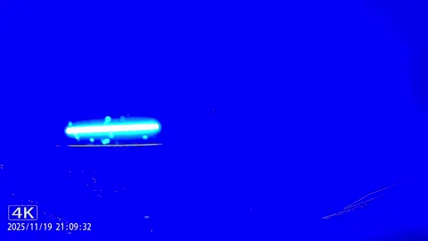 الطرب الحلال😴#ماشاءالله_تبارك_الله #ملكززه #هايلوكس #غماره١٤ #اكسبلور 