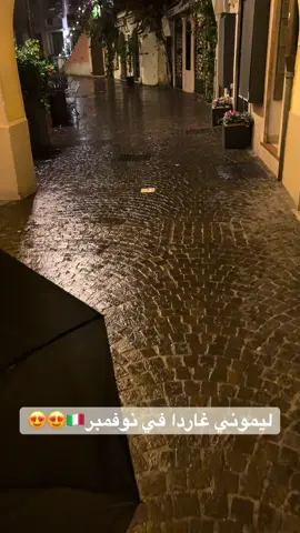 أجواء ايطاليا في نوفمبر 🍁🍂🍁 #سفر #ايطاليا🇮🇹 #سياحة #ميلانو🇮🇹シ 