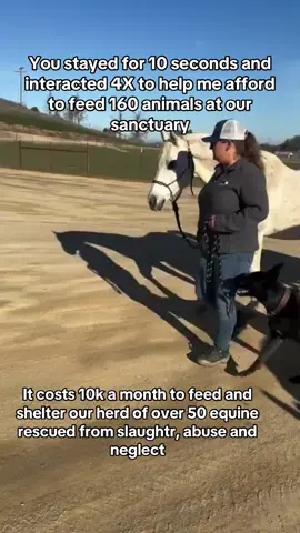 It costs 10k a month to feed and shelter our herd of over 50 equine rescued from slaughtr, abuse and neglect. #HorseShelter #HorsePlus #ADOPTED #DynamicDuo #Endanimalabues #EndBigLick #JusticeForTWH 
