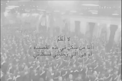 أحب هالقصيدة 🤍.  .  .  #باسم_الكربلائي  #باسم_الكربلائي_خادم_لن_يتكرر  #قصائد #قصائد_حسينيه  #viral 