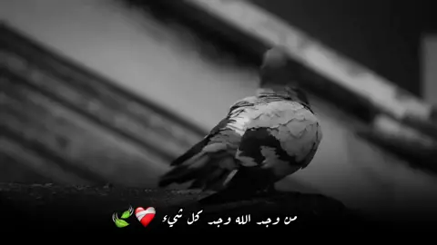 الله يغضب إن تركت سؤاله 🍃🕊️ #fyp #foryou #tiktok #تذكير #محتوى_ديني 