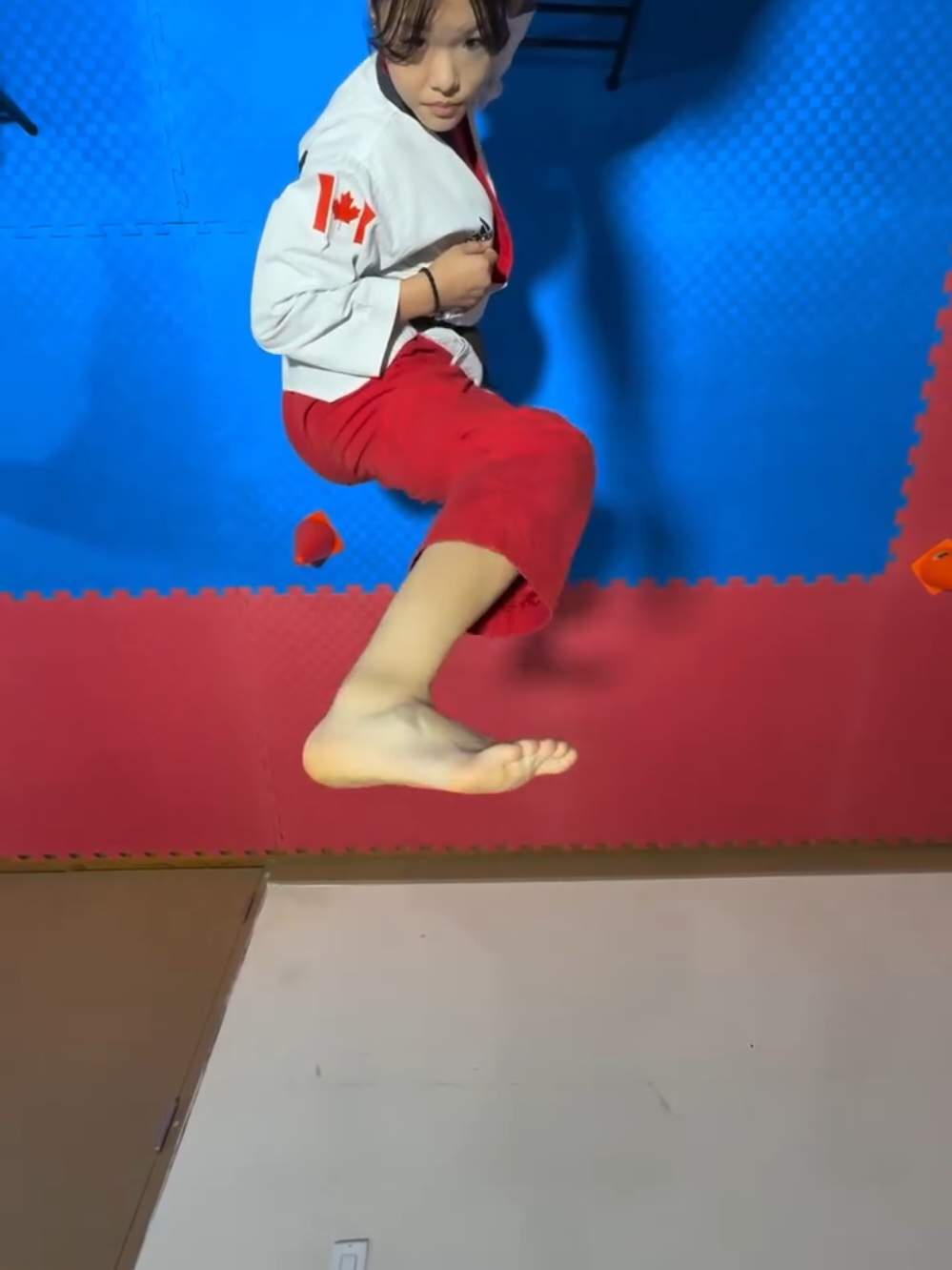Karate Kicks
