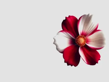 #speedsong #speedupsongs #nightcore #lyrics #fyp  @speed songs | lyrics 