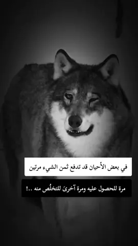 #fyp #F #f #شعب_الصيني_ماله_حل😂😂 #ابوني_ياك_باطل_ولا_حنا_مانستاهلوش 