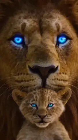 Be the king in your story 💲♟️💲 👑👑👑👑👑👑👑👑👑👑👑 - #leão #الاسد #leo #foryouppage #fyp 