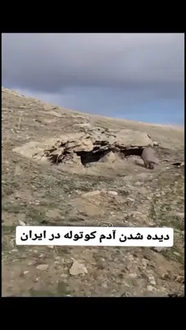 ادم کوتوله#وایرال_ویدیو #tiktokviral #vayral_video #fouryou #vayral 