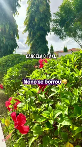 Eh 😅😅🤣🤣🤣🤣🤣😅🤣🤣