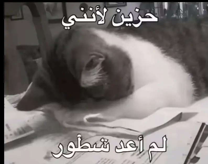 #fyppppppppppppppppppppppp #fypシ゚ #explore #عشوائيات 