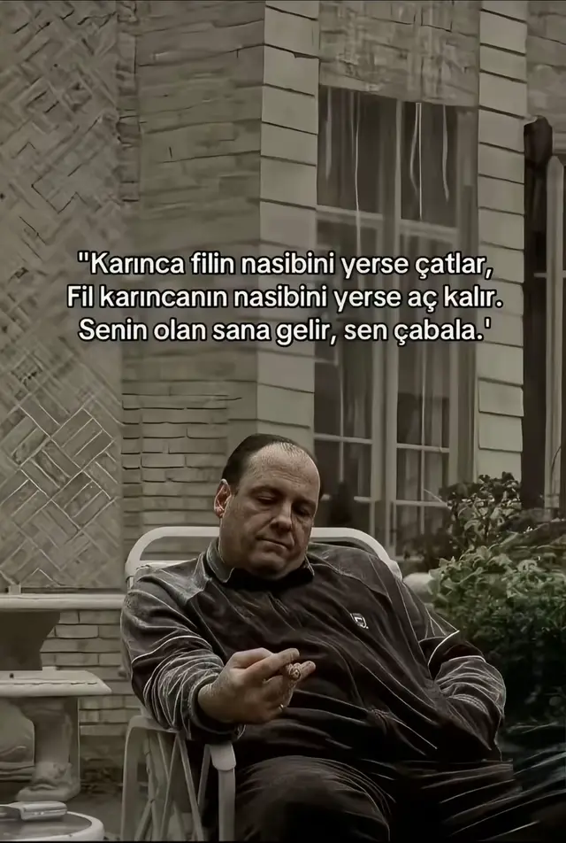 Karınca filin nasibini yerse, catlar.  Fil karıncanın nasibini yerse, aç kalır. Senin olan, sana gelir sen çabala.. #trendingvideo #russian #motivasyon 