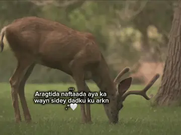 frrr. ##viral ##fypageシ ##foryoupage ##fyp ##viralvidio 