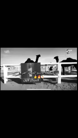 للتذكير فقط موسم الخوالد اقترب☝🏻☝🏻🔥🔥🥇🥇#بني_خالد #السعوديه #الشعب_الصيني_ماله_حل😂😂 #الشعب_الصيني_ماله_حل😂😂 #الشعب_الصيني_ماله_حل😂😂 