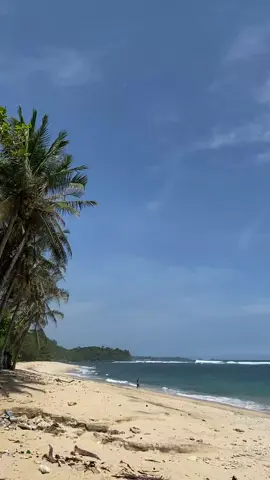 Aku tidur diliputi selimut insecure, dengan api yang diam-diam membakar kaki ranjang. “Selamat pagi,” katanya, seolah aku semalam tidak berperang dengan diriku sendiri. Di dunia tempat waktu tidak membedakan malam dan siang, aku cuma orang yang terus meraba-raba arah, takut memulai, takut melangkah, takut hilang lagi. Tapi dari segala takut yang menempel di dadaku, ada satu hal yang pelan-pelan kupahami: aku masih di sini. Masih berdiri. Masih bernapas. Malam tidak menghabiskan aku, dan pagi tidak memaksa aku jadi seseorang yang belum siap. Ia hanya mengingatkanku bahwa hidup bergerak bahkan ketika aku tidak yakin ke mana harus melangkah. Jadi hari ini, aku tidak mencari keberanian besar; aku hanya memilih untuk tidak menyerah pada rasa yang menusuk. Satu detik lebih kuat. Satu pikiran lebih jujur. Satu hati yang sedikit lebih terbuka daripada kemarin. Dan mungkin… di tengah ketakutan yang masih menemani, aku sedang pelan-pelan belajar menjadi diriku yang akhirnya berani bertumbuh. #lovestory #bertumbuh 