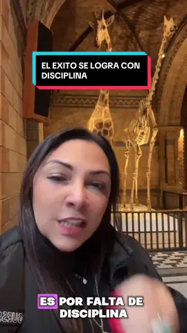 El éxito se logra con disciplina #poder #crecimiento personal #exito #motivacion #fypage 