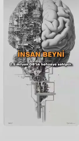 Geç Kalma Ömür çok çabuk geçiyor. 