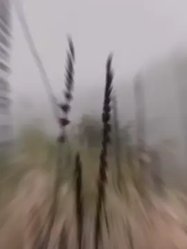 فإن تسألني كيف انت 