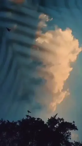 #الحمدالله_علی_کل_حال❤ #كلام_من_القلب #😍😍😍 #خواطر #🦋 