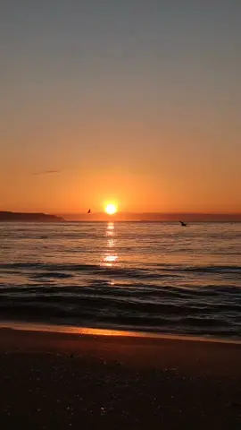 Boa tarde. #sunshine #music #digale #Love #fyp 