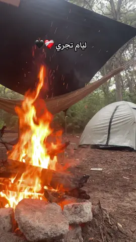 #fypシ゚ #viral #شعب_الصيني_ماله_حل😂😂 #fypageシ #fyp ليام تجري و عمر خصارة ❤️‍🩹❤️‍🩹