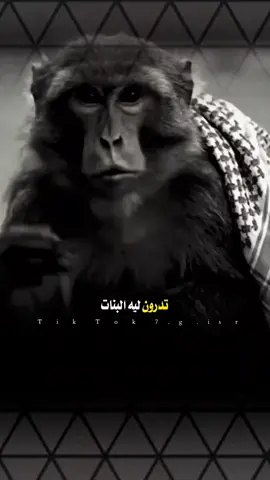 #عبارات #tylerthecreator #تصميم_فيديوهات🎶🎤🎬 #قصف_جبهات😎 