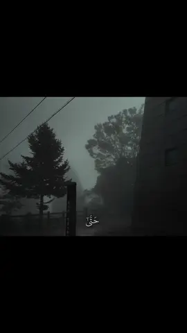 سورة المؤمنون من 99 إلى 102 #قران #توعيه #سورة_المومنون 