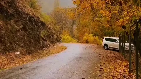 شارەکەت لە هەموو شتێکدا  جوان بوو  تەنها تۆی بەمن نەدا 🖤💔 . #dyariarahman  #في هذا اليوم 