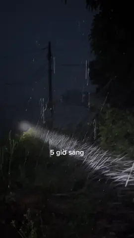 #lũlutmientrung #phúyên 