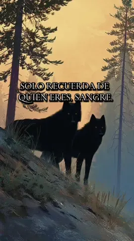 Si tienes un hijo que es tu fuerza, comenta PRESENTE y deja tu 🐺. Comparte este mensaje… porque hay Lobos que necesitan recordar de quiénes son sangre. - - - - - #LoboNegro #CodigoDePadre #LegadoDeSangre #TeamBlack #Viral2025
