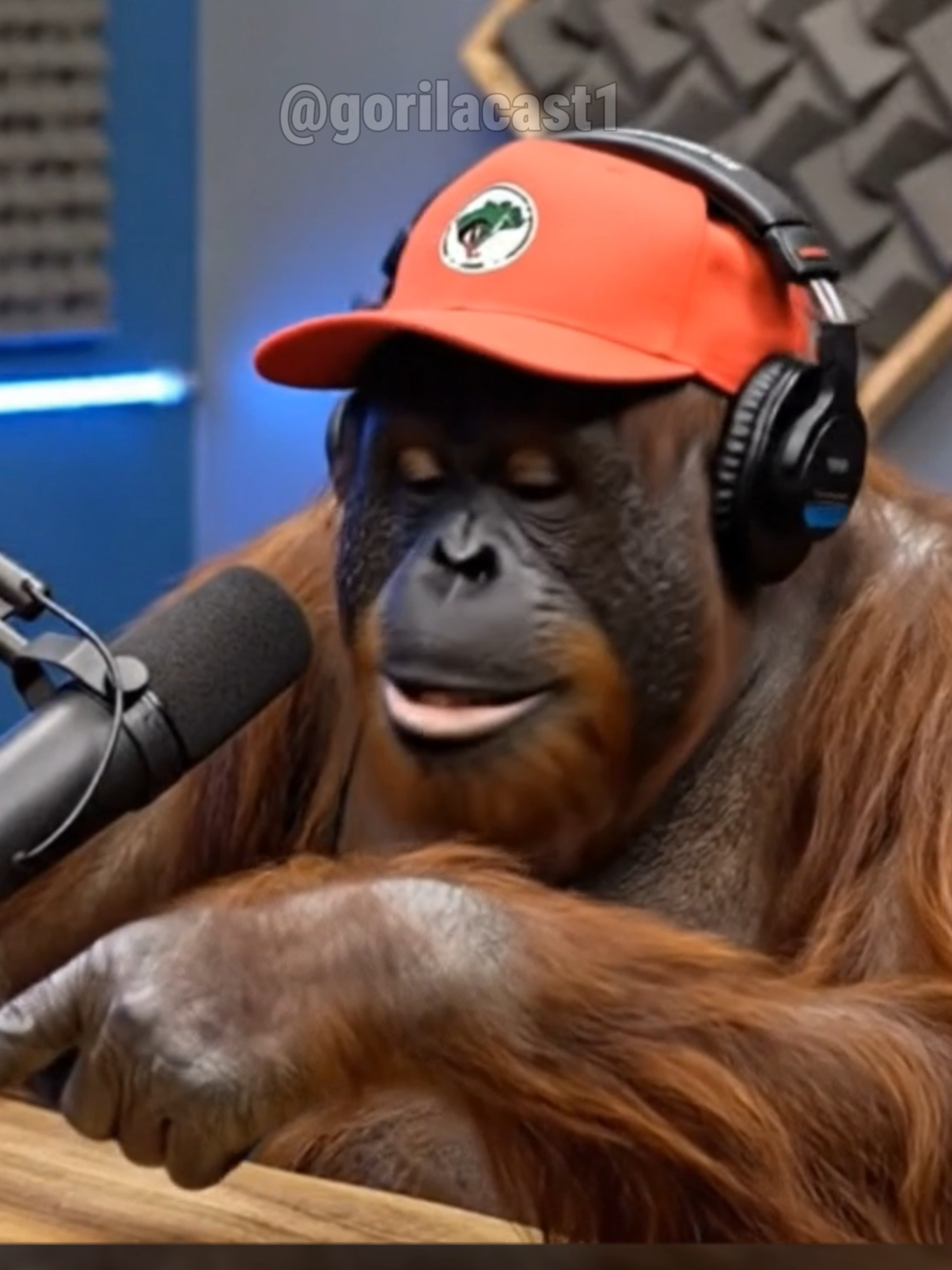 convidado não muito bem vindo kkkkkkkk #gorilacast #gemini #veo3 #mst #brasil