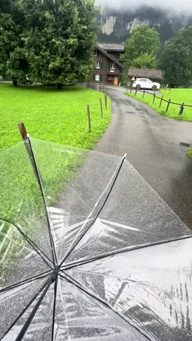 🧡🇨🇭🇨🇭🇨🇭🇨🇭🇨🇭🇨🇭🇨🇭🇨🇭🇨🇭🇨🇭🇨🇭🩵💙🧡💛🩶💚🩷🤍💜🖤❤️🤍💜🩷💚🧡🩵#فرنسا🇨🇵ألمانيا🇩🇪 #إيطاليا🇮🇹_ #المغرب🇲🇦تونس🇹🇳الجزائر🇩🇿 #الامارات_العربية_المتحده🇦🇪 #الكويت🇰🇼🇸🇦السعوديه 