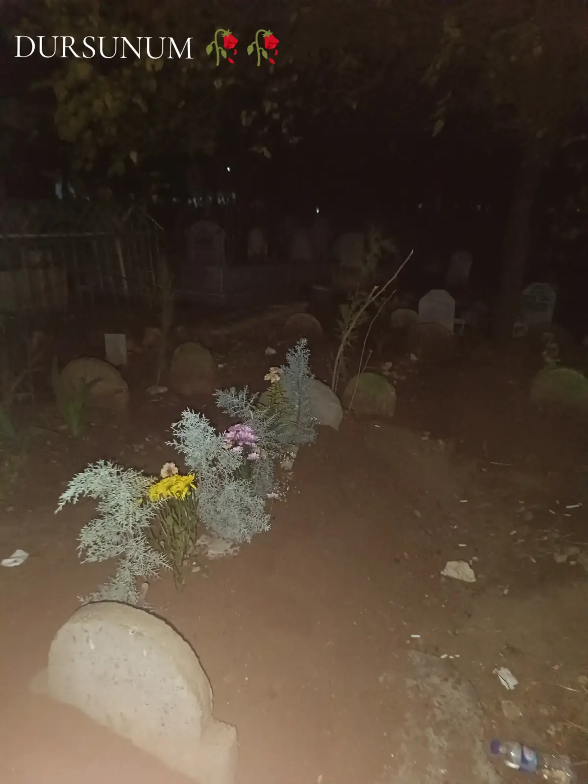 #dursuntosunölümsüzdür 