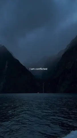 Fearless #ncs #songs #fyp 