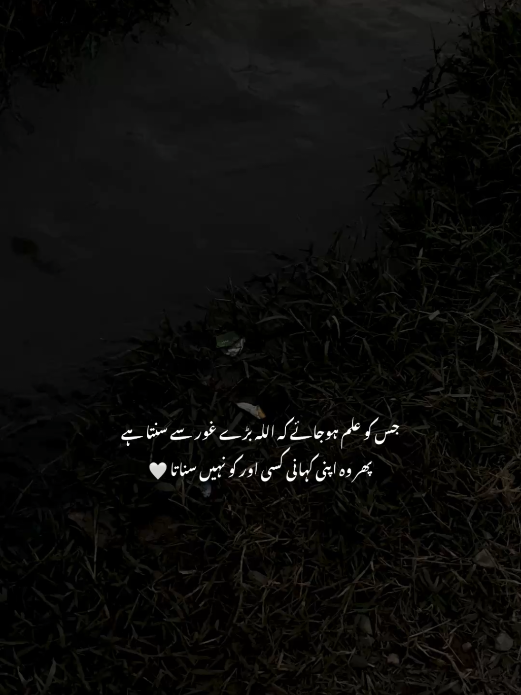 🌚🤍 |#ziroox #fyp #foryou #foryoypage #urdupeotry 