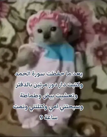 *سورة الفاتحة*       يستسلم سريعاً للأحلام