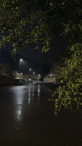 #explore #foryou #fyp #مطر #المدينه_المنوره 