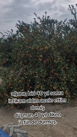 #keşfet #beniöneçıkart 