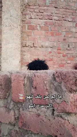 #تصميم_فيديوهات🎶🎤🎬  تيمى ✅ حفظه الله 