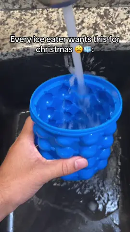 Can somebody please get me this😭🙏 #icemaker #iceeating #icelover #icetok #asmr 