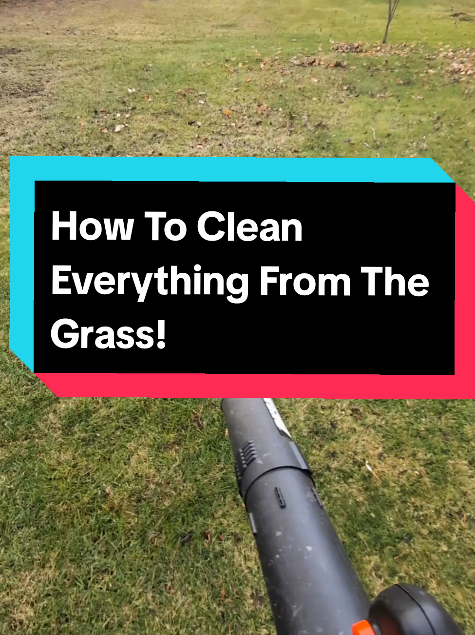 #lawntok #technique #leafblower #landscaper #howto 