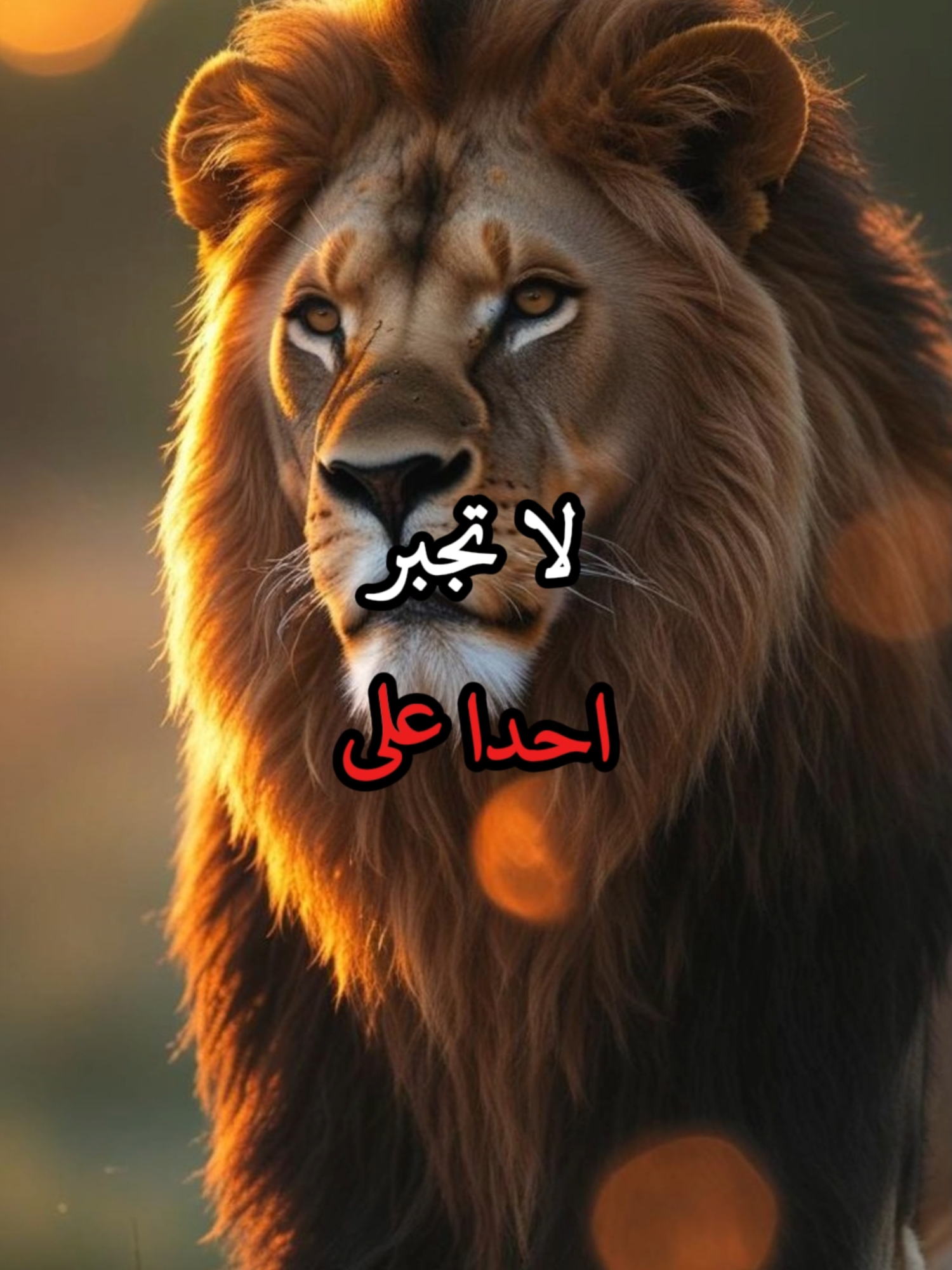 لا تجبر احدا على الاهتمام بك والسؤال عنك #حكمة #خواطر #اكسبلور #نجاح #علم_النفس #تطوير_الذات #كلام_من_ذهب #اطمئن #اقتباسات_عبارات_خواطر #تحفيزات_إيجابية #اللهم_صلي_على_نبينا_محمد #fyp #explorer #viral_videos #psychology #motivation