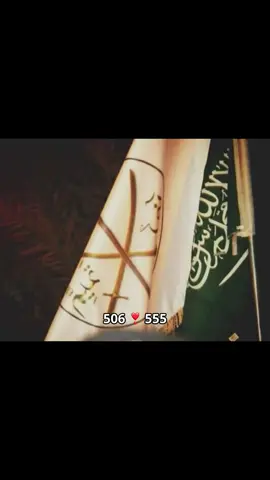 شمر وتميم حكام نجد🤩❣️#شمر #بني_تميم #هامة_مضر #شمر_الغلباء #نجد 