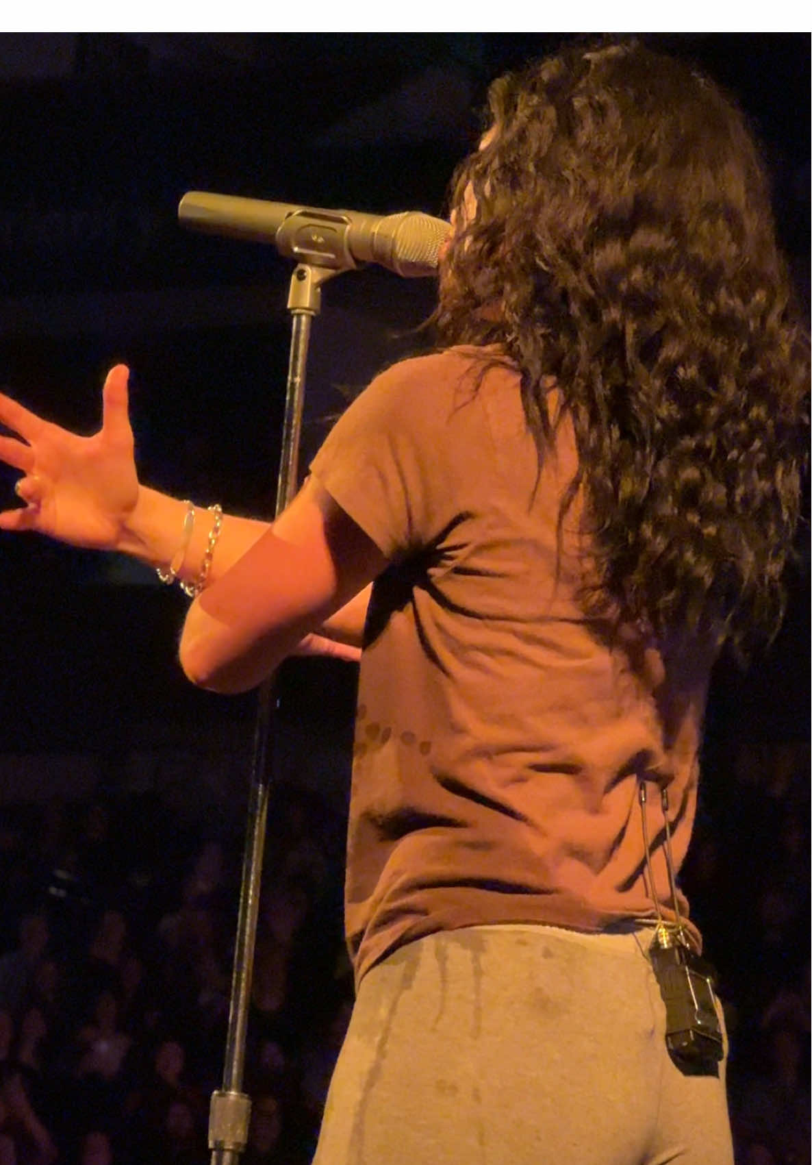 The Louvre 💙✨ #lorde #ultrasoundtour #melodrama #lordemusic #concert  @