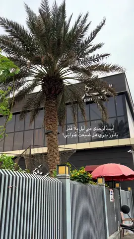 رُبما نلتقَي ؟