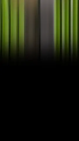 no flex but last day of school#fyp#lcr