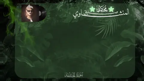 رابط التلاوة في البايو 👈❤️‍🩹 يوم ترى المؤمنين والمؤمنات يسعى نورهم بين أيديهم || سورة الحديد #قرآن_كريم #محمد_صديق_المنشاوي #صدقة_جارية 