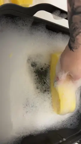 One for lovers of squeaks and suds! 🫧 🧽 #spongesqueezingasmr #squeakysqueezes #sudsy #bubbles 